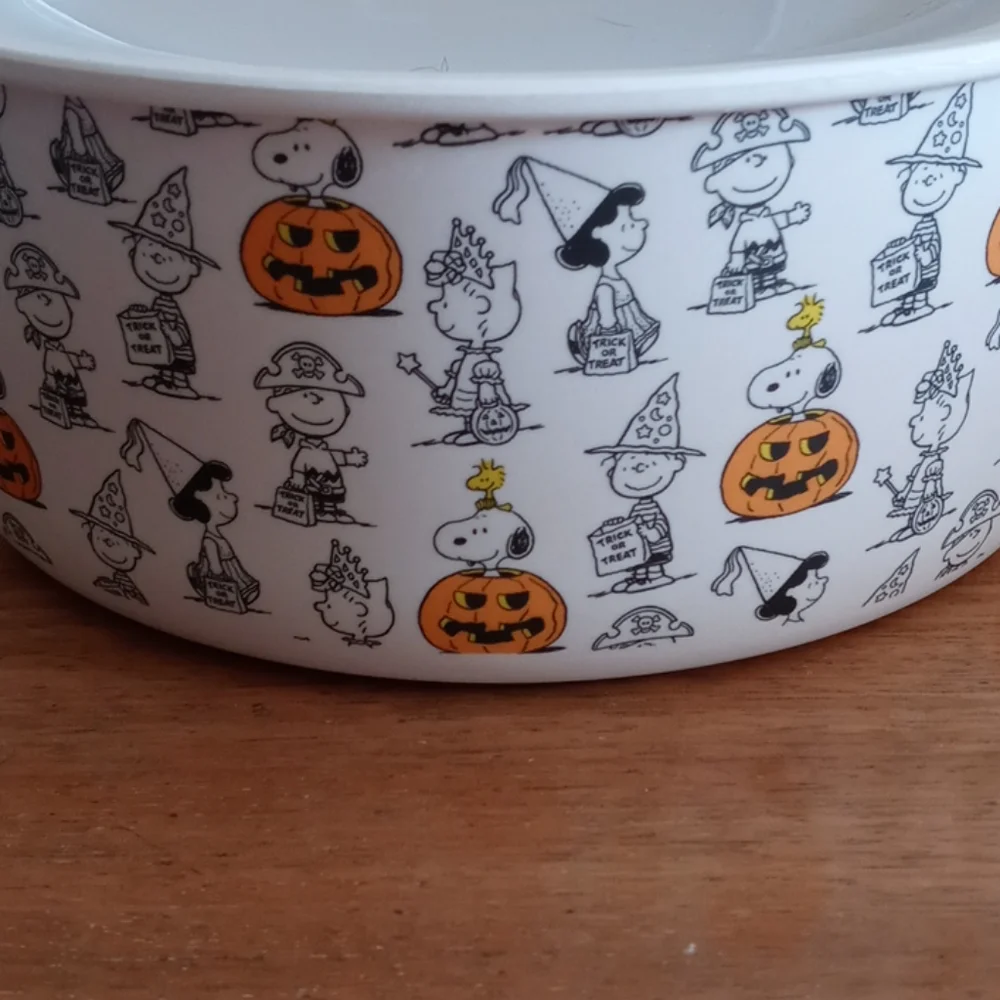 Halloween snoopy bamboo bowls